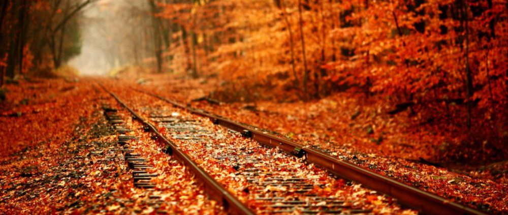 railroad in fall