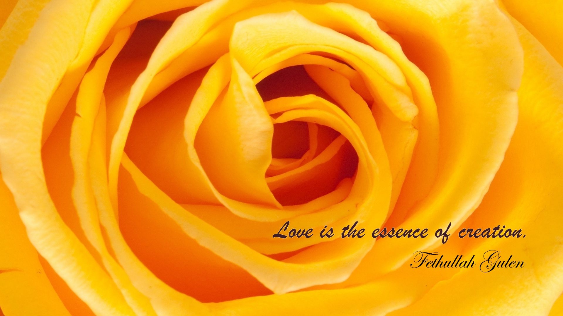 love-essence-creation