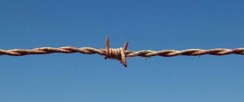 barbed wire